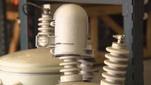 squirrel-guard-wbz-tv | Quincy News About Quincy Massachusetts