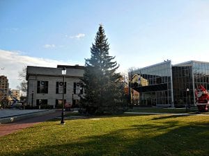 City-Hall-Christmas-Tree-#1-2018 | Quincy News About Quincy Massachusetts