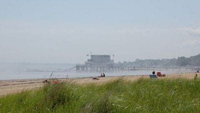 CDATA[Rarely does anything exceed the monkey business we regularly see in the Q, but this is priceless. Have you seen this story from our friends at the New York Post about a British Photographer who claims he owns the copyright to a selfi taken by a monkey he...![‘Town Beach Beer’ hitting Wollaston Soon?