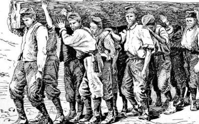 O'Brien – Koch Connection