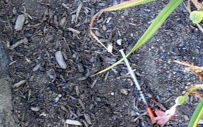 Not Even Churches Are Safe as Quincy Crime Wave Continues