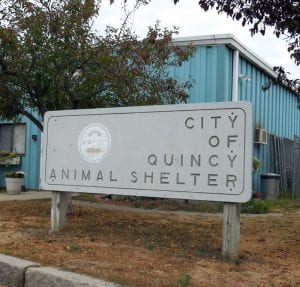 city-of-quincy-animal-shelter-quincy-quarry-news-photo