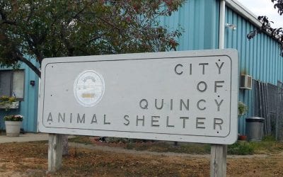 The Koch Maladministration continues to screw the pooch