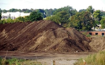 Landscaping Costs to Rise in Quincy?