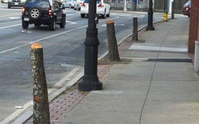 Quincy Chain Saw Massacre