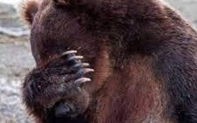 Quincy Quarry Weekly Fish Wrap: The Dog Days of Summer get drenched …