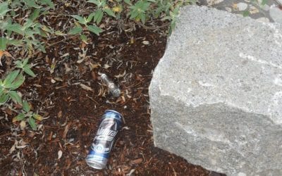 Quincy Park Named Favorite for Libations