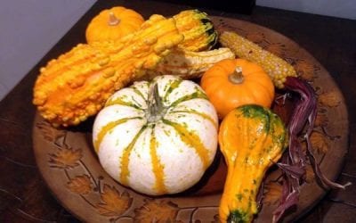 Is that a gourd in your pocket or are you happy to see me?