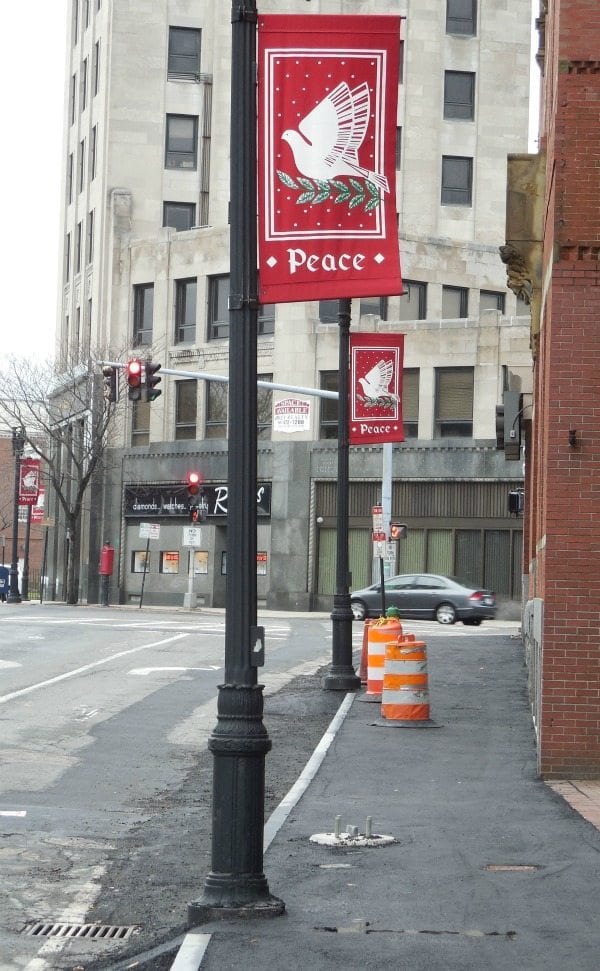 Chain saw massacre scene disturbed - a Quincy Quarry News photo