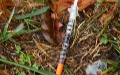 Boston libraries beset by violence and addicts