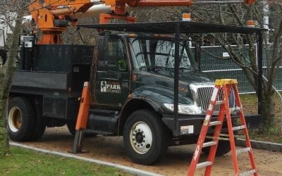 Quincy City Hall Chainsaw Carnage Continues