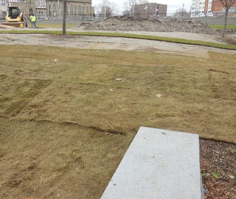 Quincy High School Parcourse Sodding Continues