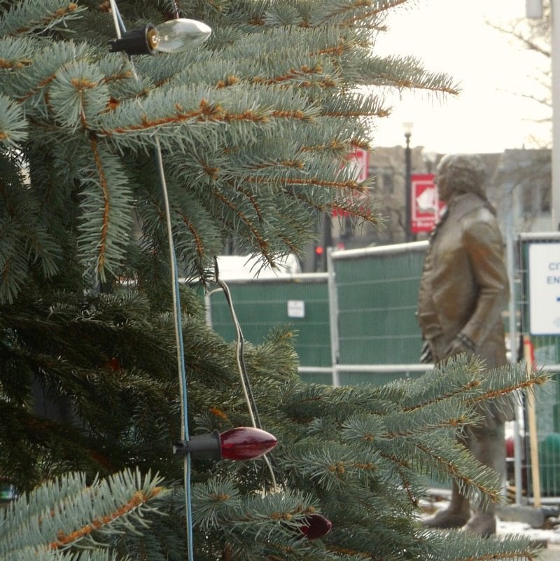 christmaslightsstillout2square Quincy Quarry News About Quincy