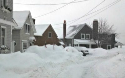 Quincy Ward Pol found plowed in Hough's Neck