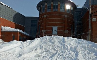 Quincy Quarry Weekly Fish Wrap: The cold is on?