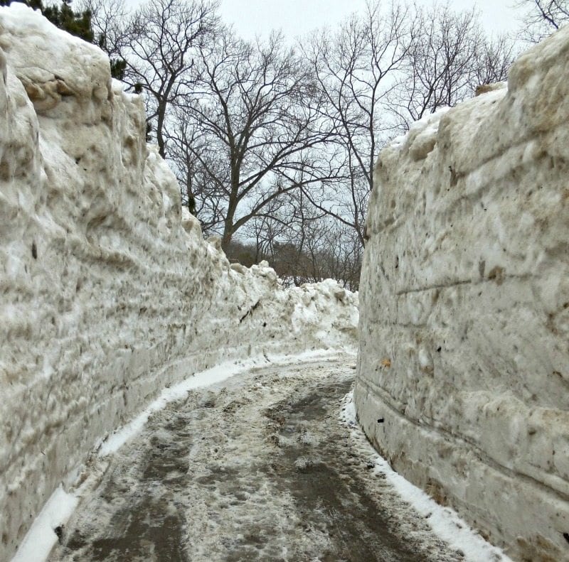 bob-sled-run-to-nowhere-1-square | Quincy News About Quincy Massachusetts