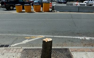 Quincy Center chainsaw victims cover-ups and traffic mess continue