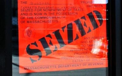 Cat up a creek without a paddle