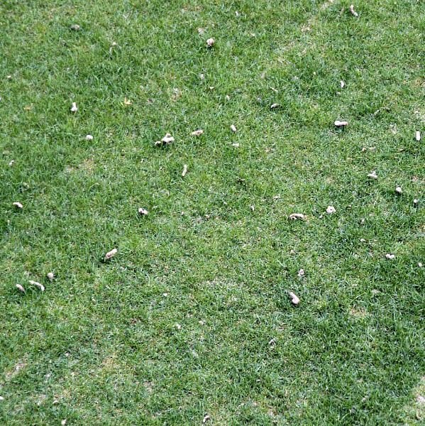 Quincy High School parcourse still not up to par