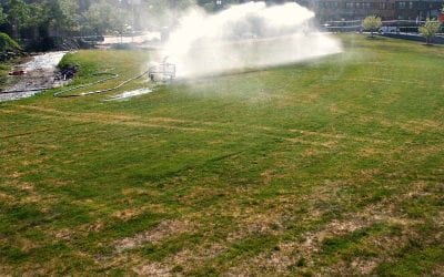 Quincy sodding now also hosed