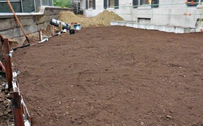 Quincy City Hall cover-ups exposed?