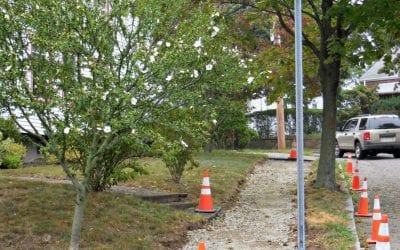 Quincy sidewalks for campaign support season commencing early?