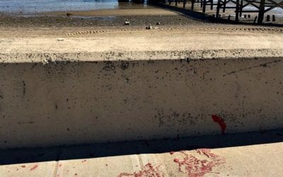 Quincy Wollaston Beach trashed yet again