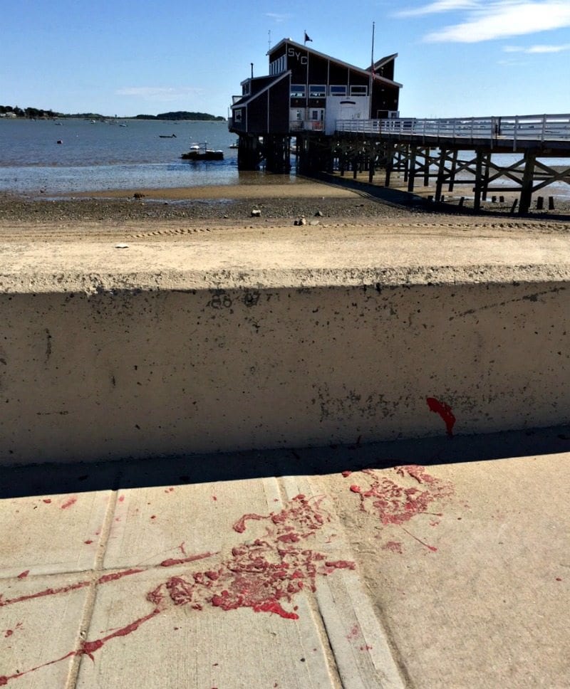 wollaston-beach-2 | Quincy News About Quincy Massachusetts