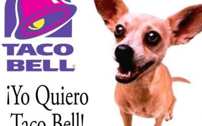Taco Bell to offer beer and wine