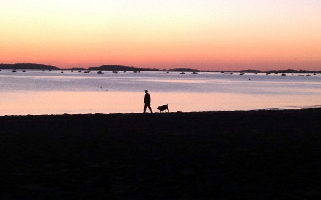 CDATA[– News about Quincy MA from Quincy Quarry News
Quincy Quarry Photo Gallery: The End of Summer
Quincy has been blessed with perfect weather for Labor Day holiday weekend after a long and increasingly hotter summer as summer winds down as well as the early in the fall primary elections are fast approaching .
A Quincy Quarry camera crew in throes of insomnia decided to head out take pictures at dawn’s early light – the sun peaking over the horizon, quiet harbor waters, someone out walking man’s best friend and seagull out strutting its stuff.
QQ disclaimer
![