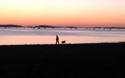 Quincy Quarry Photo Gallery: The End of Summer