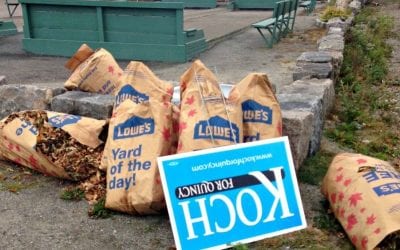 Quincy support of mayor falling with fall leaves?