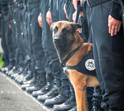 Paris terrorist attack one year later