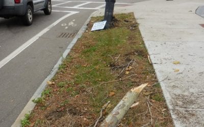 Quincy dangerously knocked sideways streetlight still dangerously sideways
