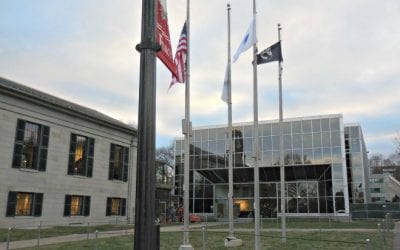 Quincy taxpayers and Adams Green sodded