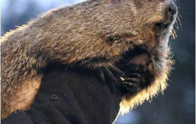 Punxsutawney Phil sees his shadow – six more weeks of winter?