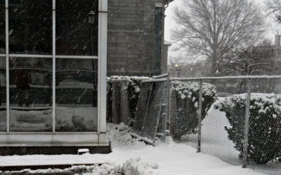 Quincy Snow Jobs 2016, Part Six: City Hall plowed yet again