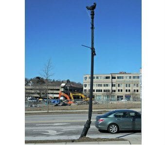 Quincy Center Street Light still sideways