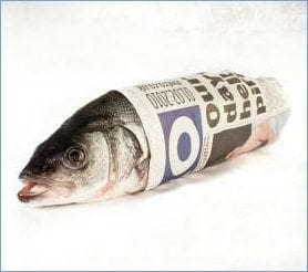 Quincy Quarry Weekly Fishwrap – Q-up’s in the Q hit the wall?