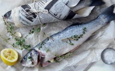 Quincy Quarry Weekly Fish Wrap: Fishy doings and dangerous trafficking continue