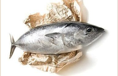 Quincy Quarry Weekly Fish Wrap:  Fishy and other rotten doings in the Q continue!