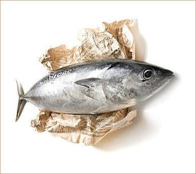 Quincy Quarry Weekly Fish Wrap: Fishy and other rotten doings in the Q continue!