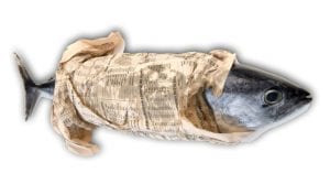 fishwrap-4 | Quincy News About Quincy Massachusetts | Quincy MA | Quincy News