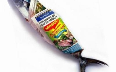 Quincy Quarry Weekly Fish Wrap: Santa Koch provides grifts to a few of his friends early!