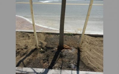 Quincy Quarry again cause action after its latest expose?