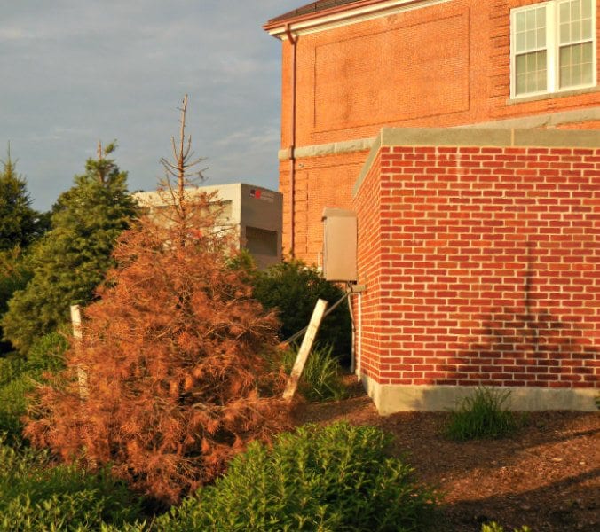 Coddington-dead-1125 | Quincy News About Quincy Massachusetts