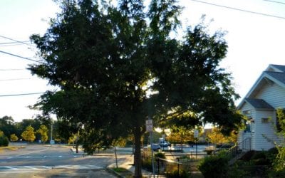 Quincy High School Faces New Traffic Safety Threat