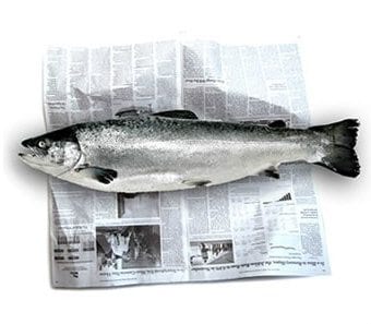 Journalism’s Broken Business Model Won’t Be Solved by Billionaires