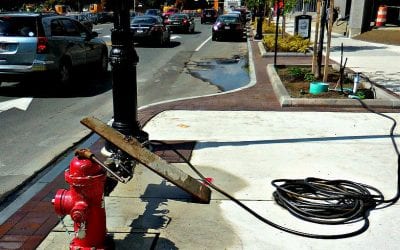 Quincy Fire Department to the rescue of parched trees?