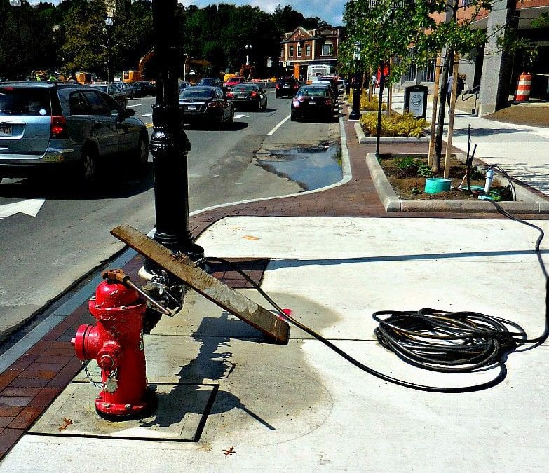 CDATA[ – News about Quincy from Quincy Quarry News Quincy tree killings hit new drought low. Quincy Quarry’s hard-bitten news hounds had thought that they had seen it all until today when a new low of absurd waste hit the Q. Specifically, today Quarry...![Quincy Fire Department to the rescue of parched trees?
